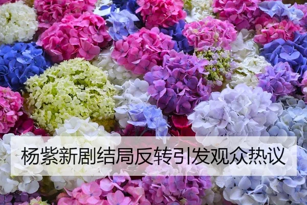 杨紫新剧结局反转引发观众热议